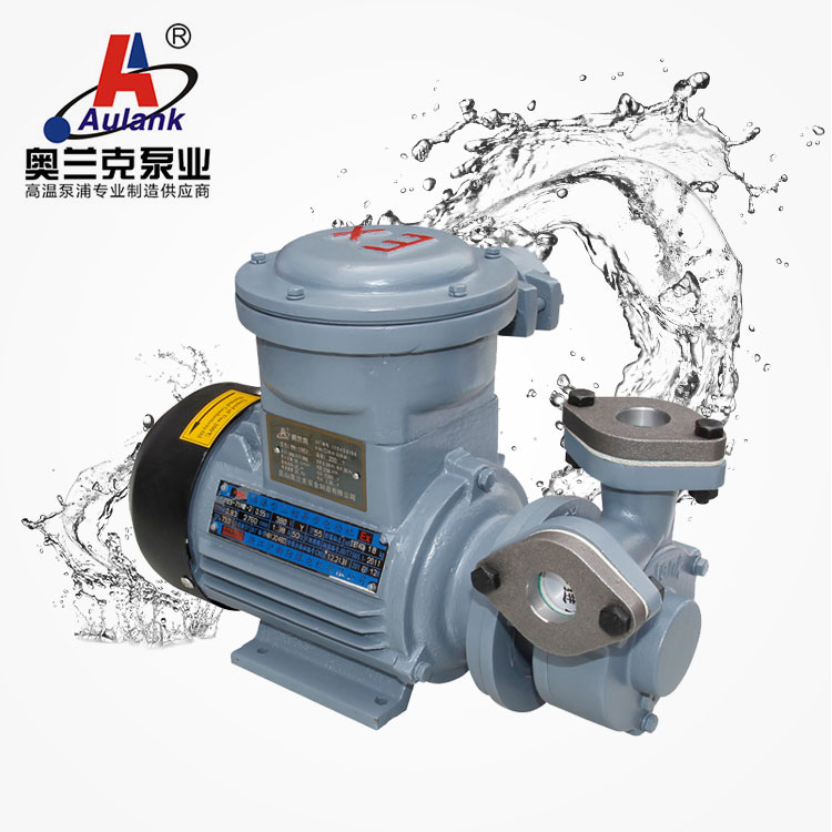 高低溫油泵 水泵 防爆泵